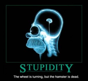 stupidity